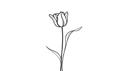 Tulip Drawing Vector