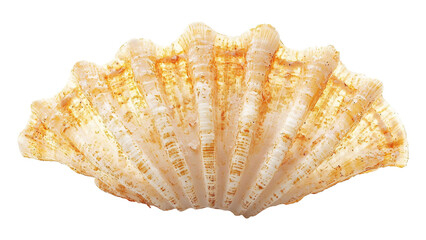 Obraz premium Seafood Cracker for Cracking Shellfish - Isolated on White Background