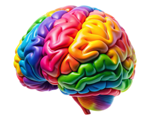 colorful brain isolated on white background