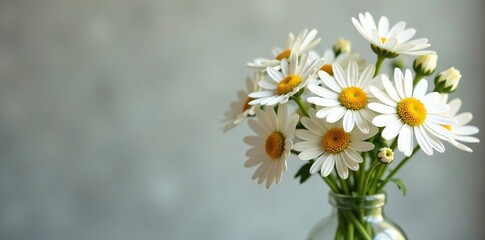 Fototapeta premium Chamomile flowers in a vase with some branches and leaves, arrangement, flowers, stem