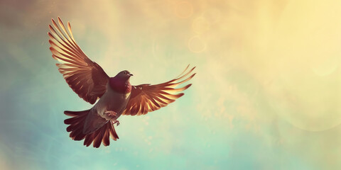 Obraz premium Pigeon in Flight Against Pastel Sky