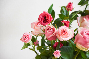 カラフルなバラ