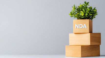 Non-Disclosure agreement. Potted plant on wooden blocks labeled NDA against a simple background.