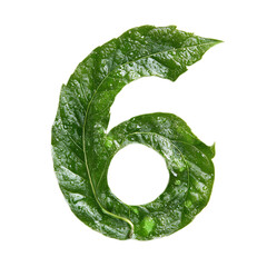 Swirling Leaf Forming the Number Six in a Natural Environment