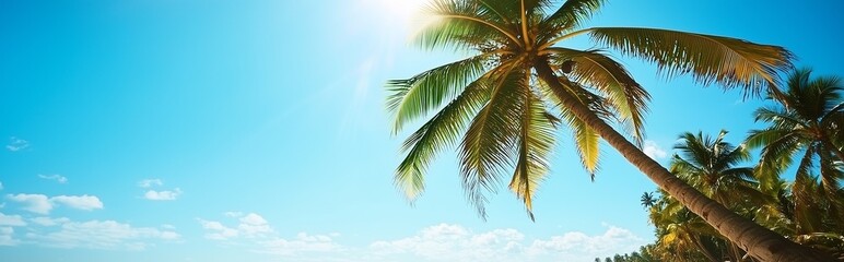 Fototapeta premium Stunning view of coconut trees along a serene beach with turquoise waters and golden sands, creating a tropical paradise under a clear blue sky.