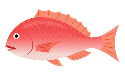 鯛のイラスト