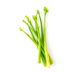 Obraz premium celery root Fresh celery stalks, vibrant green leaves, crisp vegetable, organic produce, white background