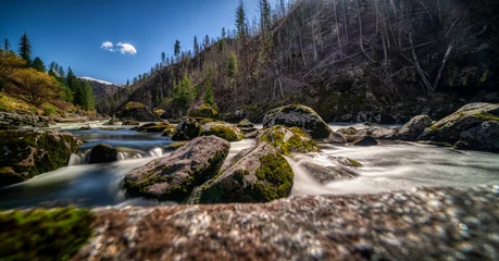 Gordijnen Bos rivier Lochsa river in the mountains of Idaho  © SS Reflections 