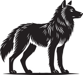 Black and white wolf