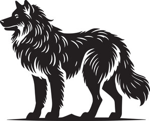 Black and white wolf