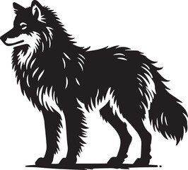 Black and white wolf