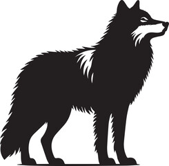 Black and white wolf