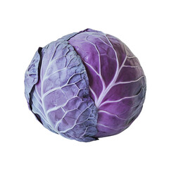 Obraz premium purple cabbage isolated on white