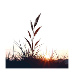 The silhouette of the grass vector illustration