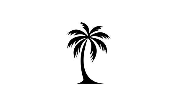 palm tree silhouette vector