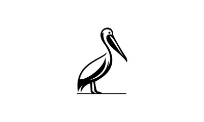illustration of a pelican