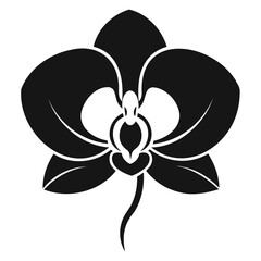 Phalaenopsis orchid Flower Black Silhouette Vector Isolated on a transparent background