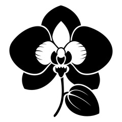 Phalaenopsis orchid Flower Black Silhouette Vector Isolated on a transparent background