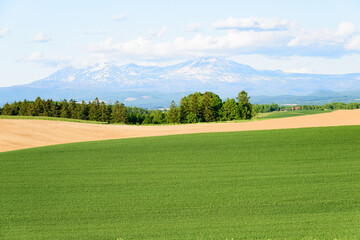 5月の北海道　富良野の風景