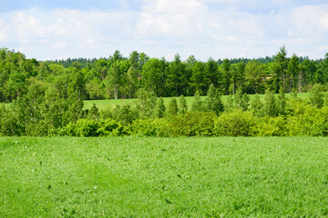 Obraz premium 5月の北海道 富良野の風景