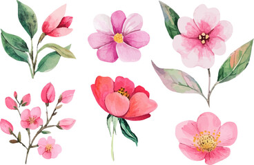 set of pink and white flowers