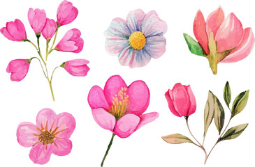 set of pink and white flowers