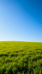 Obraz premium Summertime nature photo of lush green pastures and clear blue sky Explore Earth s beauty Copy space image Place for adding text, minimalism, with white tones