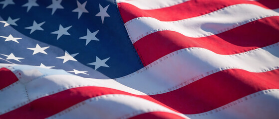  USA FALG FOR VOTE
