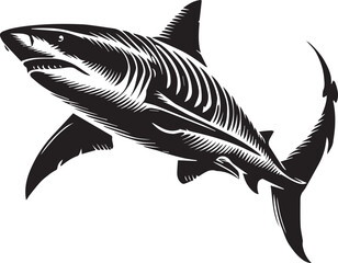 Shark silhouette