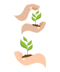 Hands Nurturing a Growing Plant.