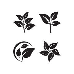 Minimalist Leaf Silhouettes Collection.