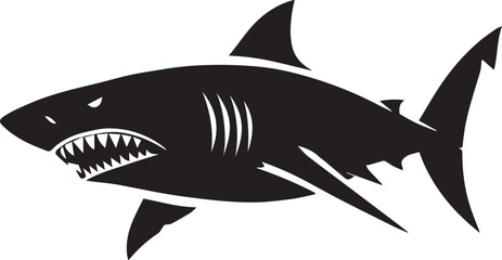 Shark illustration