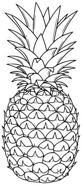recommend clip art: Vector fruits outline of pineapple