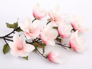 Naklejka premium Pink and White Flowers Branch
