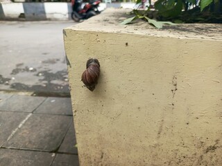 feet on the pavement