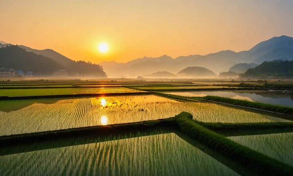 sunrise from the field in landcape for dekstop wallpaper