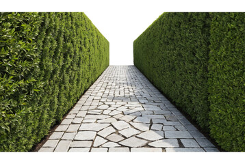 Stone walkway with a hedge on either side PNG