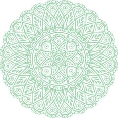 Beautiful flower art and mandala vector design