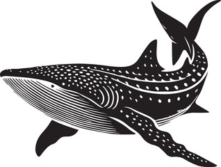 Black and white shark