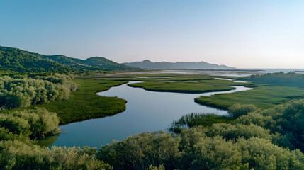 Obraz premium Serene river meandering through lush green wetlands under a clear blue sky.