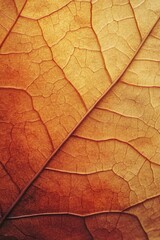 Obraz premium Brown Leaf Close Up