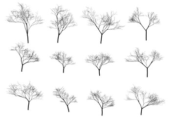 Tree Silhouette Vector for Landscape and Nature Themes
