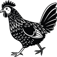 Hen silhouette vector, Hen or chicken vector illustration, Hen or chicken line art vector