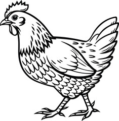 Hen silhouette vector, Hen or chicken vector illustration, Hen or chicken line art vector