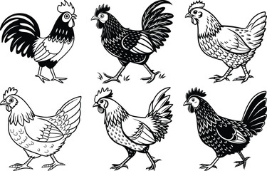 Hen set silhouette vector, Hen or chicken vector illustration, Hen or chicken line art vector