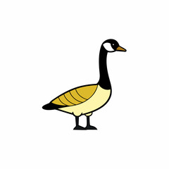 goose isolated on white background