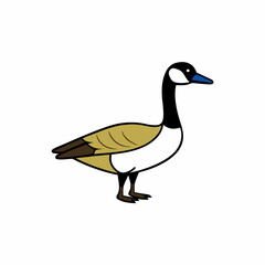 goose isolated on white background