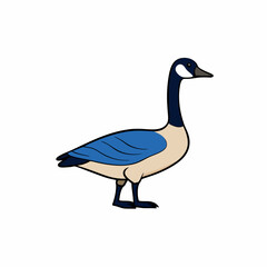 goose isolated on white background