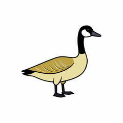 goose isolated on white background