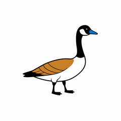 goose isolated on white background